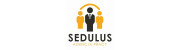 Karriere bei Sedulus