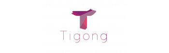 Tigong Commerce GmbH
