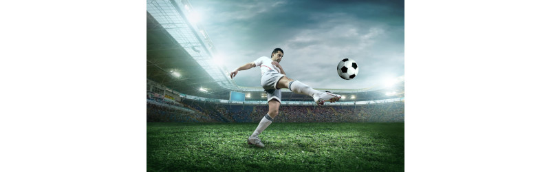 Pack ma‘s - bei allen Spielen des FCB als Event Service Mitarbeiter dabei sein! - Teilzeit in München