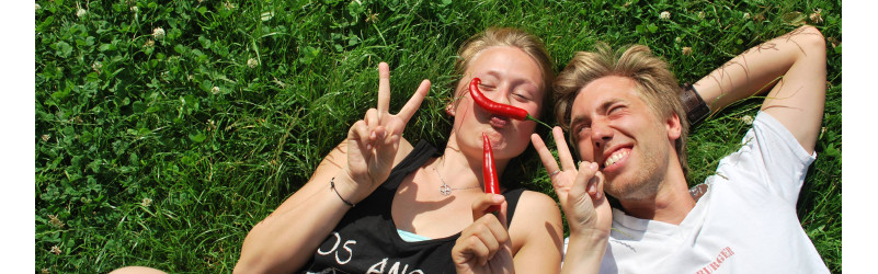 Nebenjob: Social Promotor / Influencer m/w/d gesucht Mannheim
