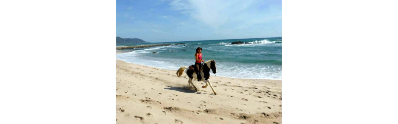 Reitpraktikum in Costa Rica - Auslandspraktikum auf der Ranch