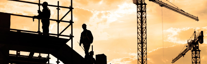 Dachdecker (a) Frankfurt (Oder)
