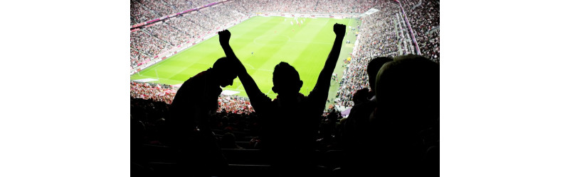 Aushilfen für das Länderspiel Deutschland gegen Frankreich gesucht! Werden sie es schaffen?!